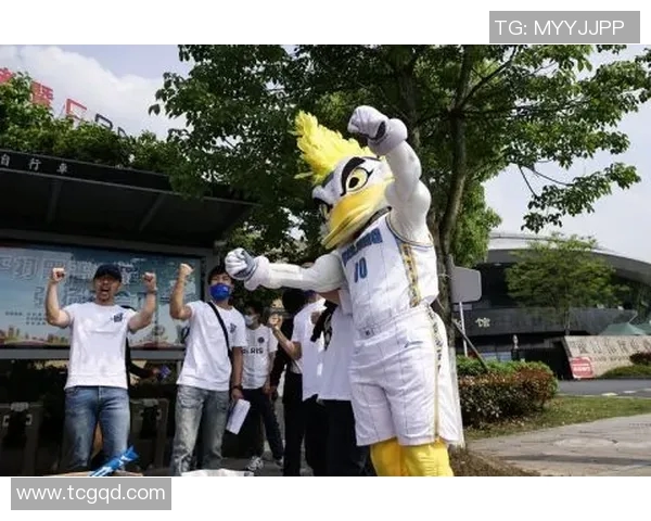 新赛季CBA球队引援动态：山东王者斥巨资签下国内顶级内线